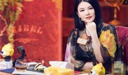 女星综艺爆料大全最新,女星综艺爆料大全深度解析