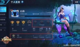 王者257最新爆料