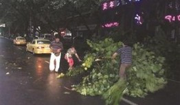 狂风骤雨最新爆料,揭秘背后惊人真相