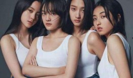 四小花旦最新爆料,揭秘娱乐圈幕后风云