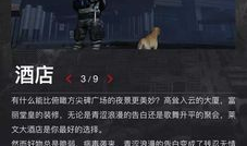 明日最新爆料,最新爆料揭示惊天秘密！