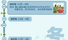 四季最新爆料,揭秘四季风云变幻，探寻四季背后的秘密